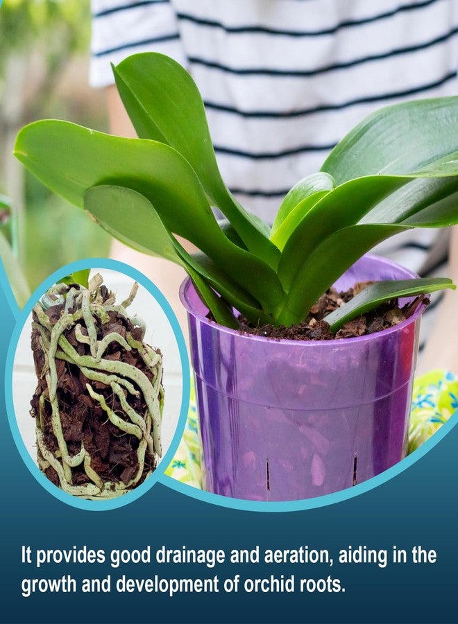 Doter Orchid Bark, Pine Bark for Plants Natural Mulch for Potted Plants, Wood Chips for Garden - Image 5